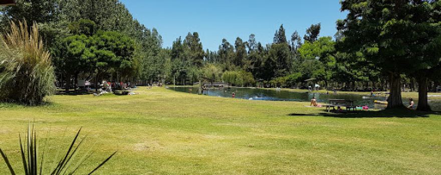 Camping springs Panquehue