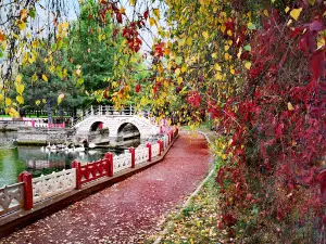 Seydisehir Kuğulupark Sohbet Sofrası