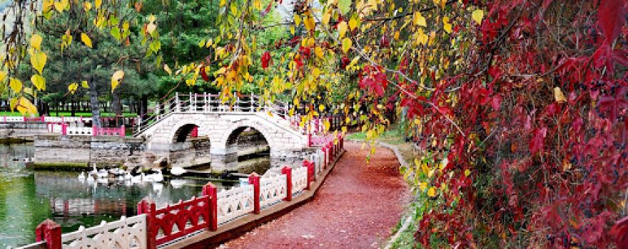 Seydisehir Kuğulupark Sohbet Sofrası