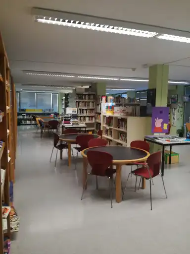 Biblioteca Municipal Vicente Miguel Carceller