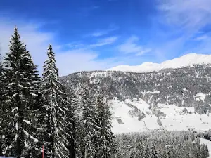 Baranci Piste Da Sci