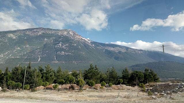 Çiçek Tekstil Hatıra Ormanı