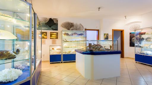 Tropical aquarium Krk