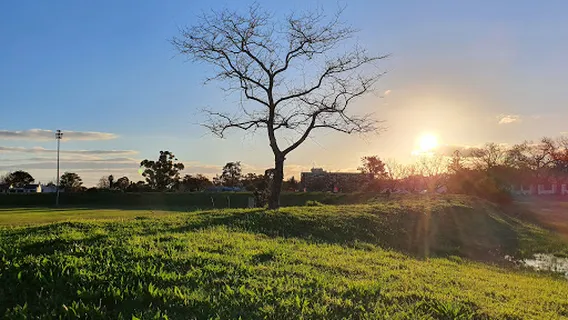 Radloff Park Dog Park