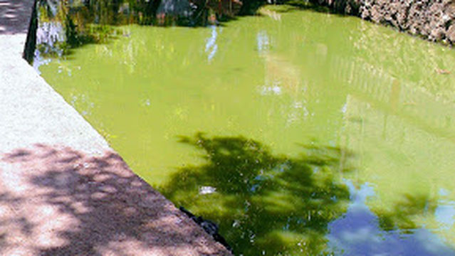 Bassin de Saint Jacques