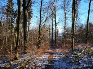 Tillyschanze Tower