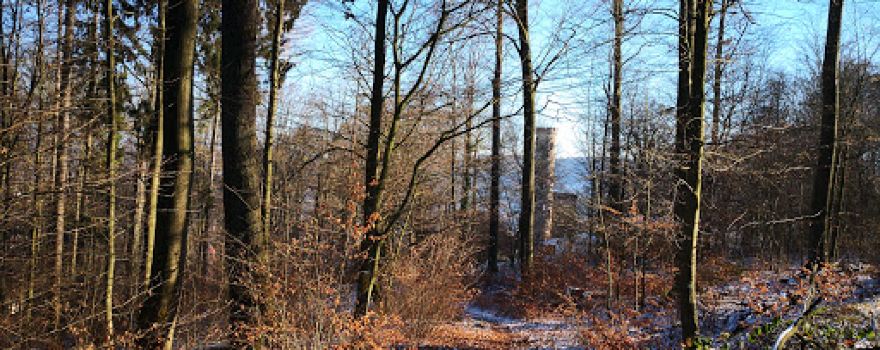 Tillyschanze Tower