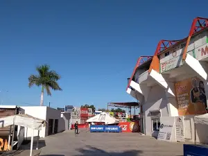 Estadio Manuel "Ciclón" Echeverría