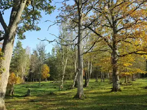 Bergagården Hunneberg
