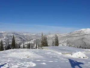 Salvamont Borşa