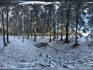 101st Easy Company-Battle of the Bulge Memorial