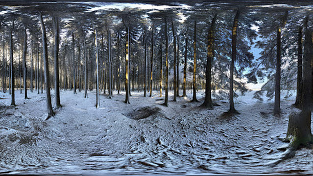 101st Easy Company-Battle of the Bulge Memorial