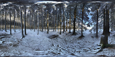 101st Easy Company-Battle of the Bulge Memorial