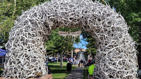 Antler Arches of Jackson