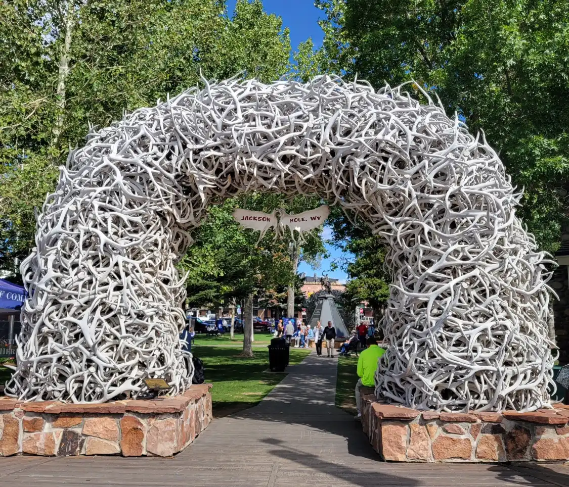 Hotels near Antler Arches of Jackson