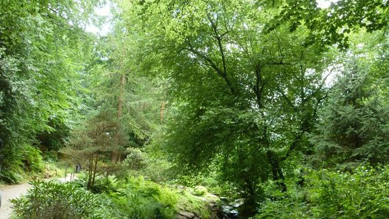 Parc de la Gaudiniere