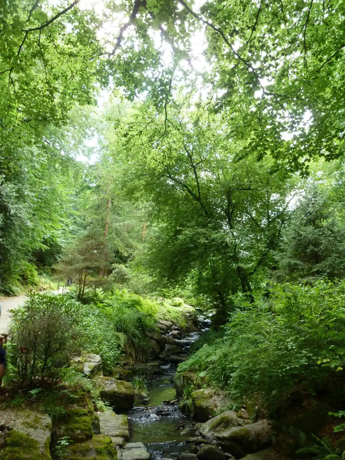 Hotels near Parc de la Gaudiniere