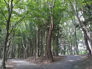 栃木県井頭公園