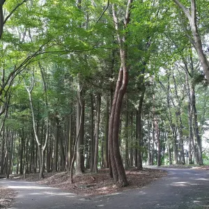 栃木県井頭公園