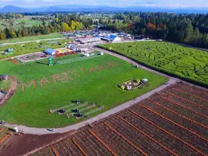 Maris Farms