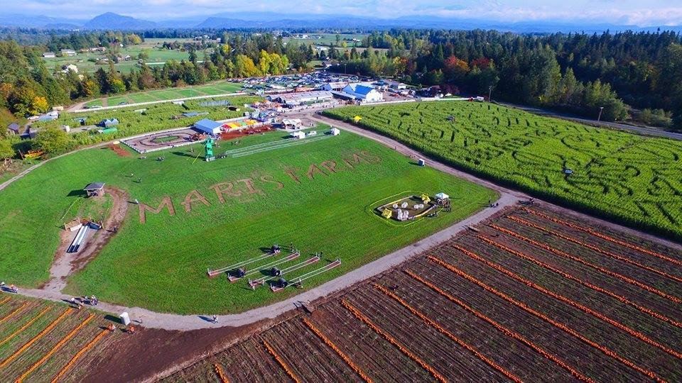 Maris Farms