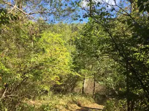 ハックルバーニー州立公園
