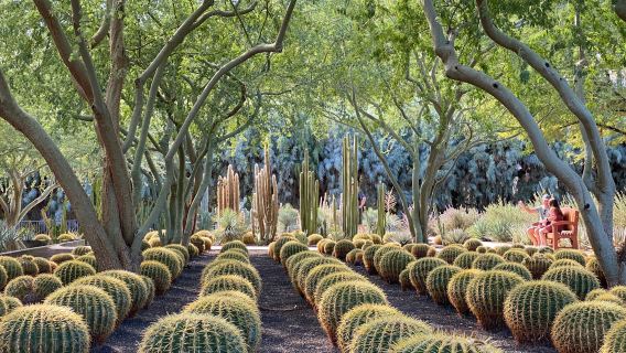 Sunnylands Center & Gardens
