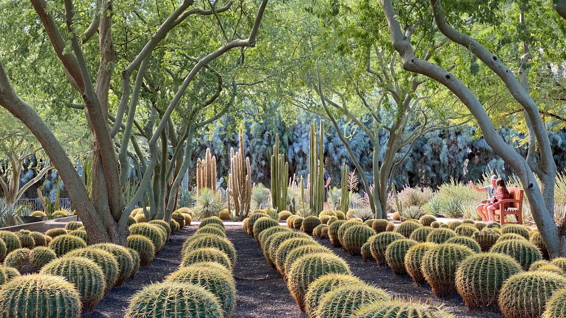 Hotels near Sunnylands Center & Gardens