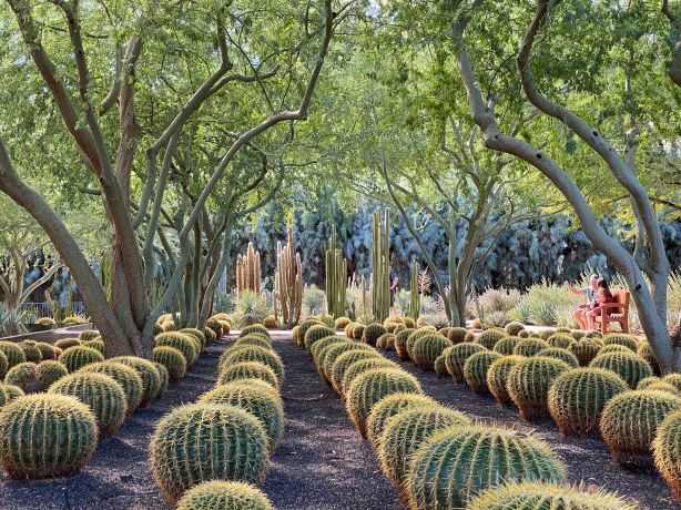 Sunnylands Center & Gardens