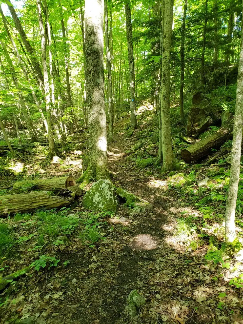 Hotels near Charleston Lake Provincial Park