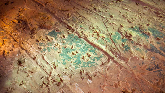 Dinosaur Stampede at Lark Quarry Conservation Park