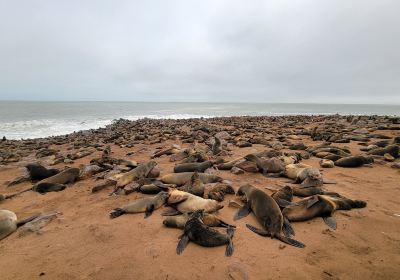 Hentiesbaai