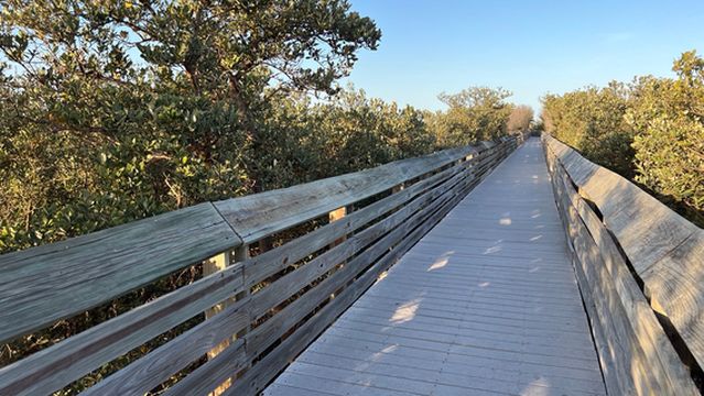 Laguna Madre Nature Trail