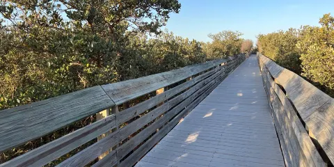 Laguna Madre Nature Trail