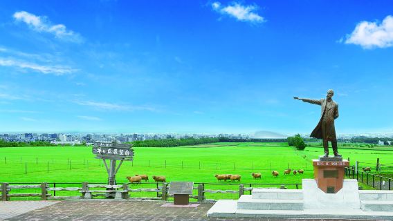 Hokkaido, Japan Okurayama Ski Jumping Stadium + Hitsujigaoka Observatory Half Day Tour: Sapporo Afternoon Sightseeing