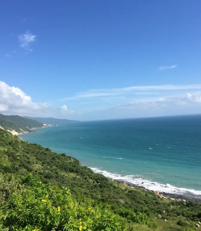 Treasure Beach