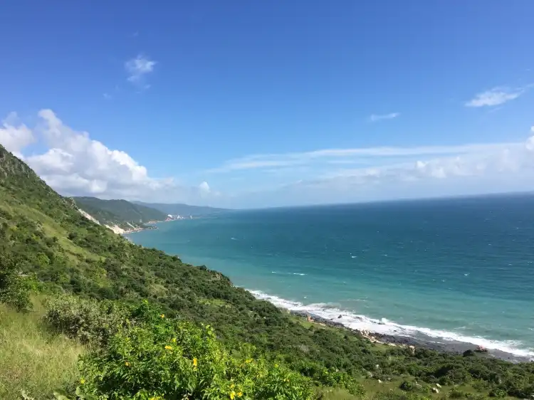 Treasure Beach