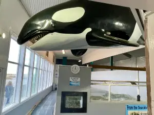 Seaside Aquarium