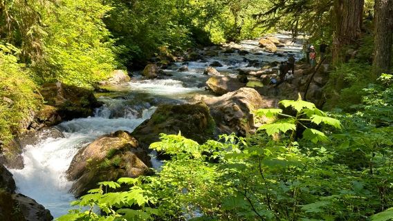Sol Duc Falls