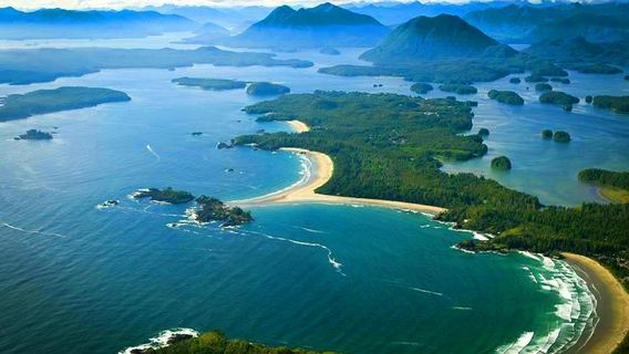 Tofino