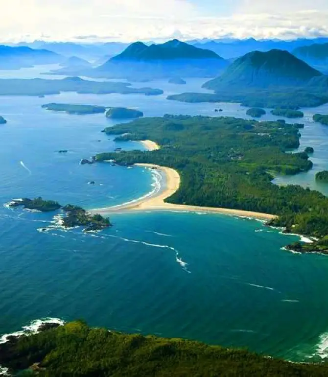 Tofino