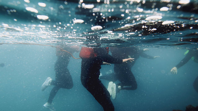 Quiksilver Surf School Newquay