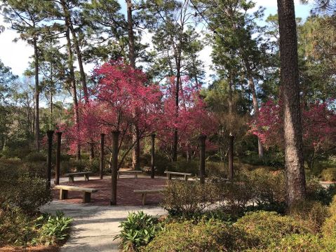 Mobile Botanical Gardens