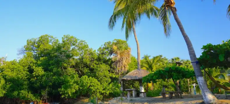 Hotels in San Pedro Mixtepec