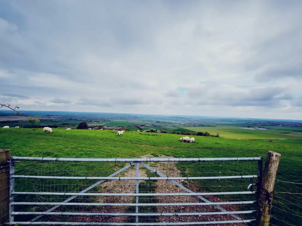 3_Dunstable Downs