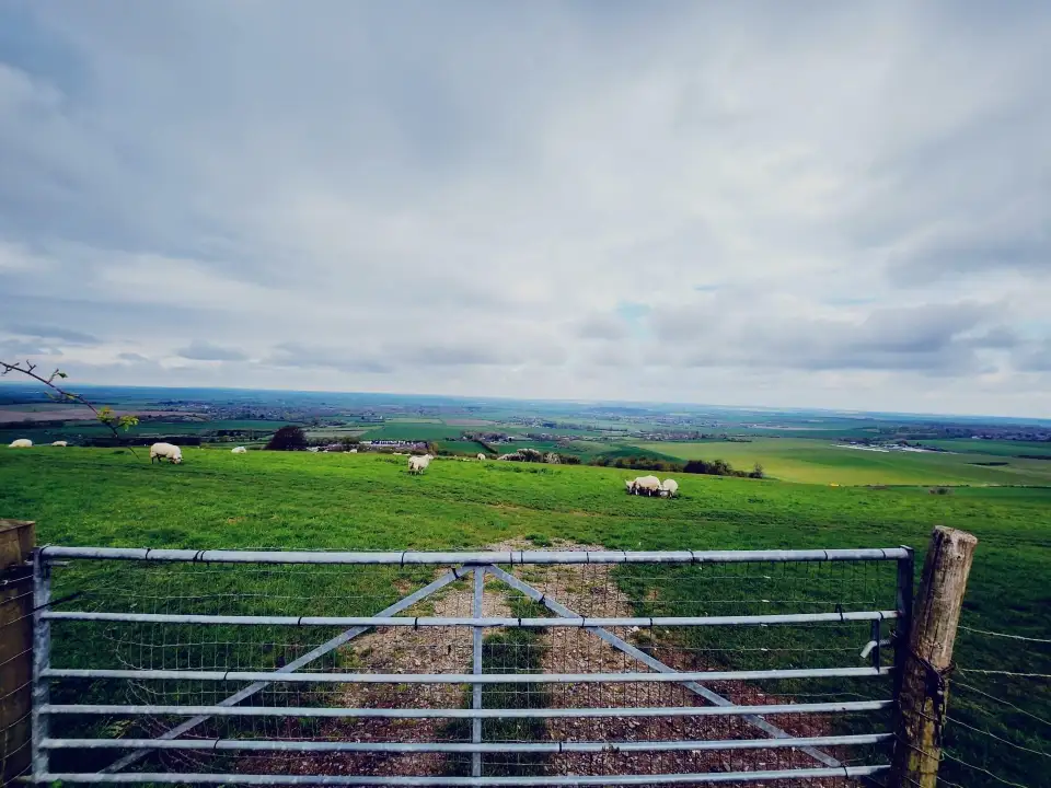 3_Dunstable Downs