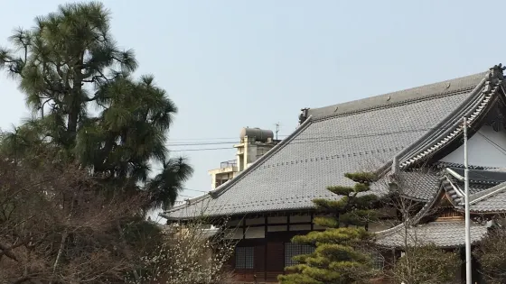 禪源寺