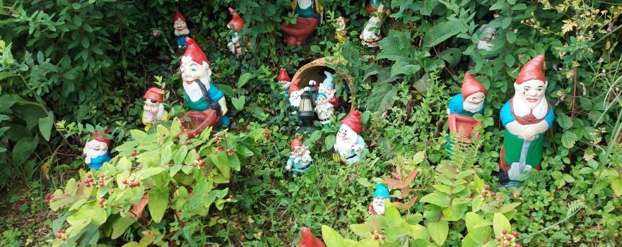 The Gnome Reserve & Wild Flower Garden