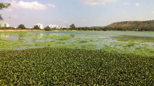 Pashan Lake附近的飯店