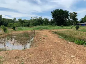 Perlis Snake Park